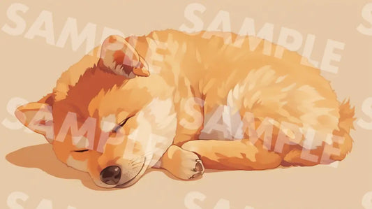 Digital Image Picture Photo Art Animal Sleeping Shiba Dog Wallpaper Background dl0798