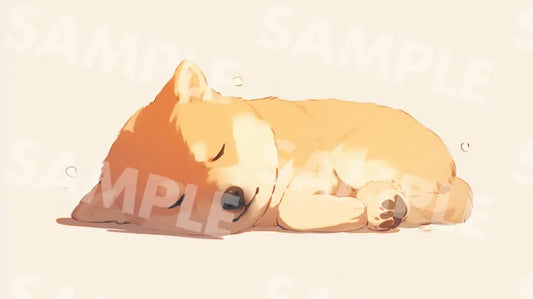 Digital Image Picture Photo Art Animal Sleeping Shiba Dog Wallpaper Background dl0799