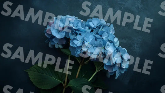 Digital Image Picture Photo Hydrangea Wallpaper Background Dl0541